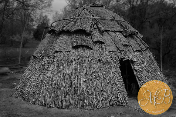 Eastern Woodlands American Indian Structure